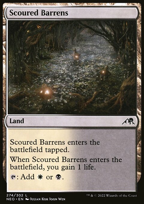 Scoured Barrens